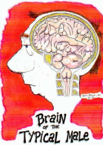 [Brain]
